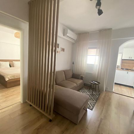 Doinei Cozy Flat Apartment Timisoara Exterior photo