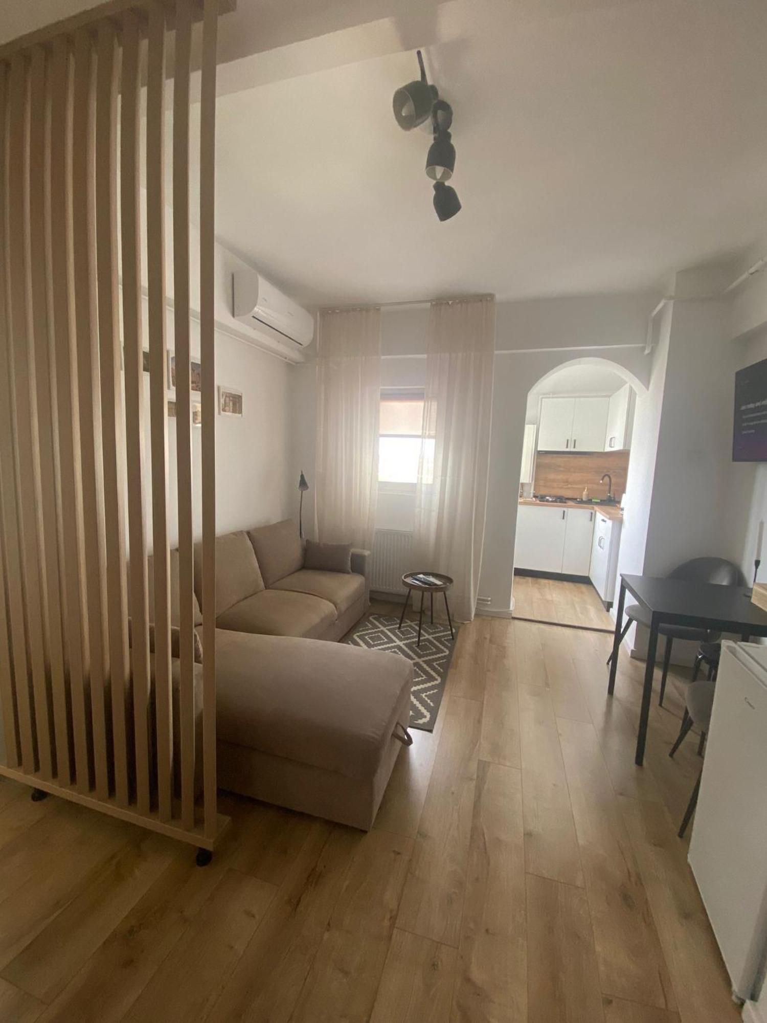 Doinei Cozy Flat Apartment Timisoara Exterior photo